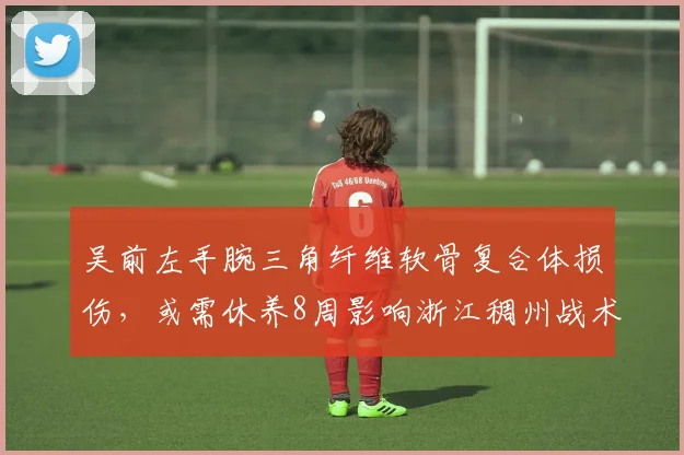 吴前左手腕三角纤维软骨复合体损伤,或需休养8周影响浙江稠州战术体系